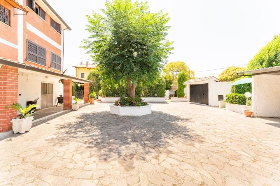 Property building, Garden, Garden view