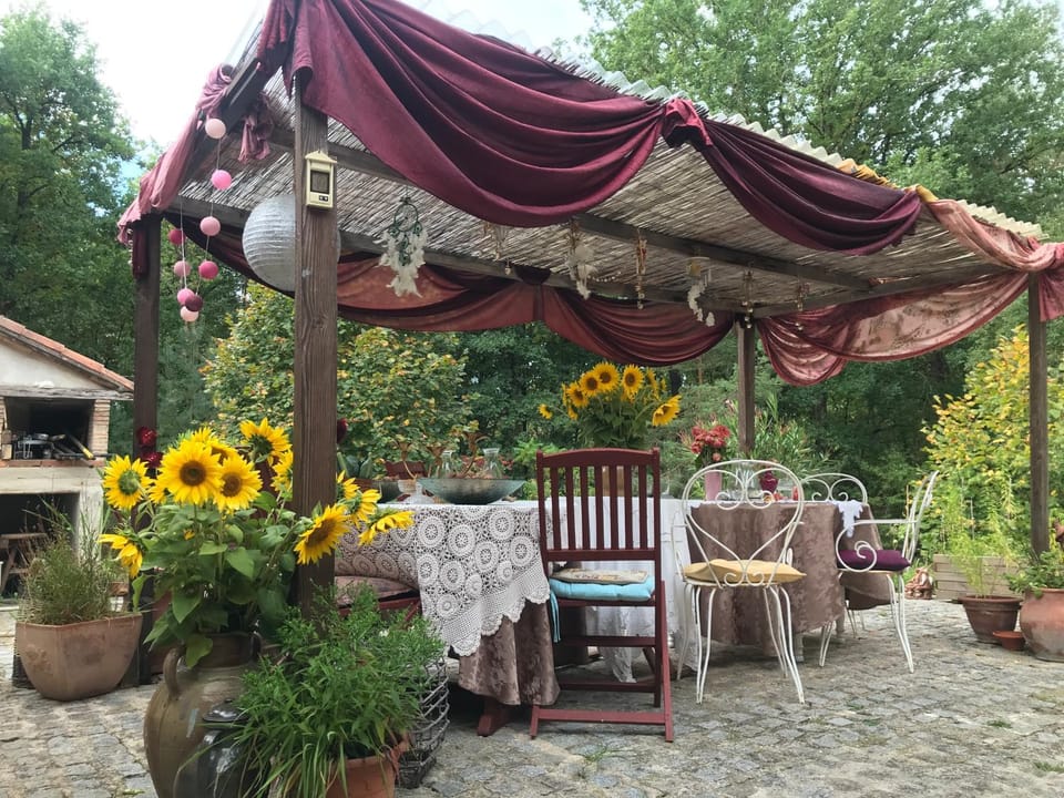 Patio, Balcony/Terrace, Dining area