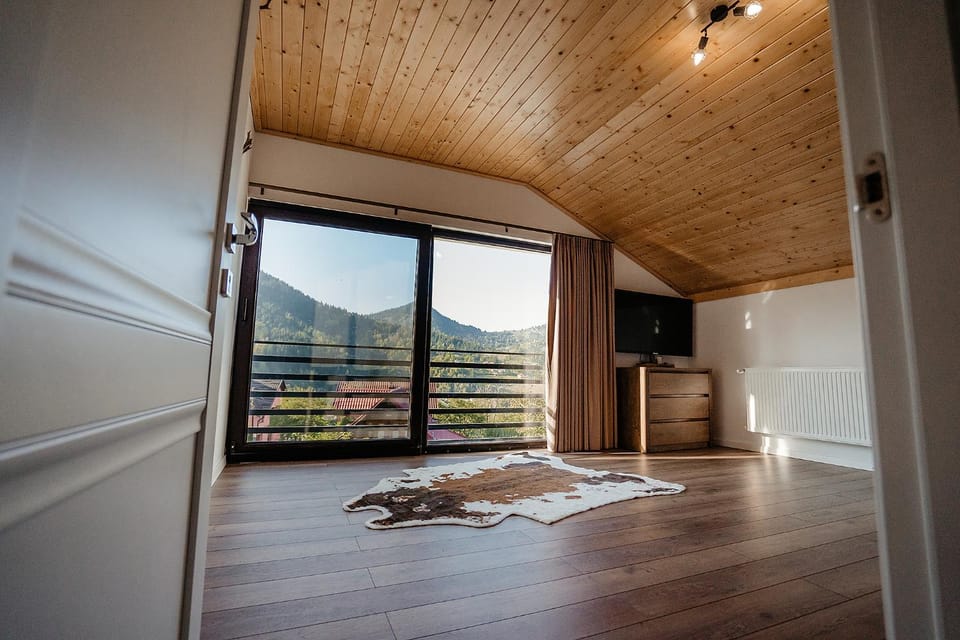 Natural landscape, TV and multimedia, Mountain view