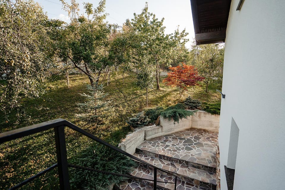 Day, Garden, Garden view