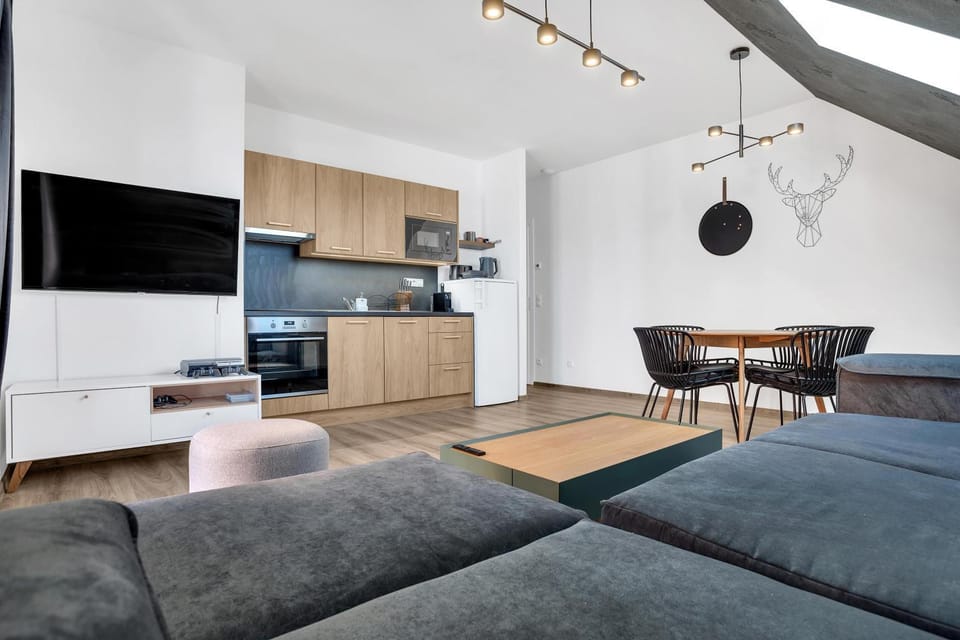 TV and multimedia, Kitchen or kitchenette, Living room, Seating area, Dining area, minibar, pet friendly, stove
