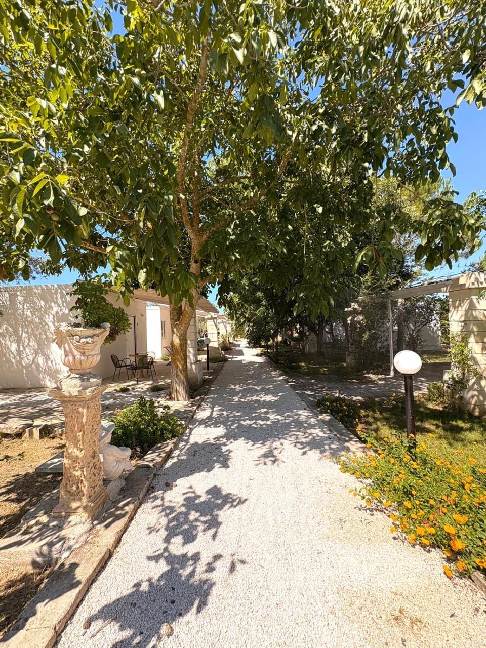 Agriturismo Tenuta la Monaca Farm Stay in Apulia