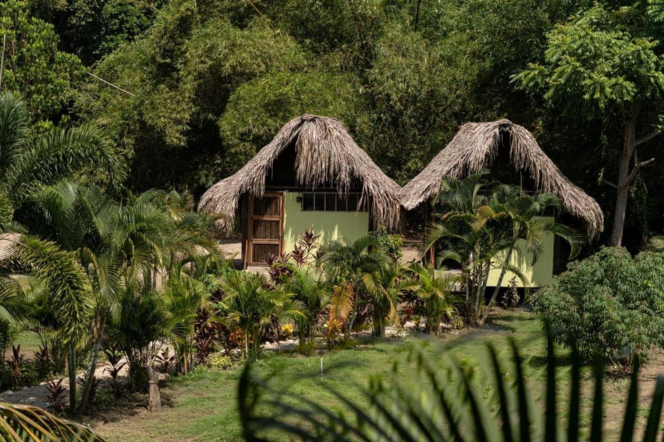 Day, Garden view