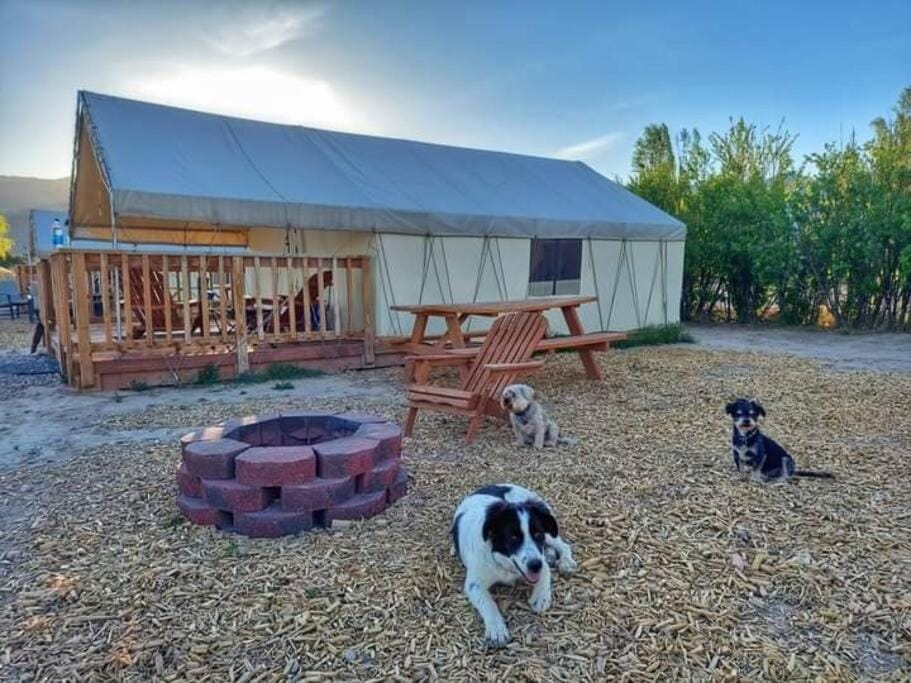Cozy Glamp Tents at Wildland Gardens Luxury tent in Utah