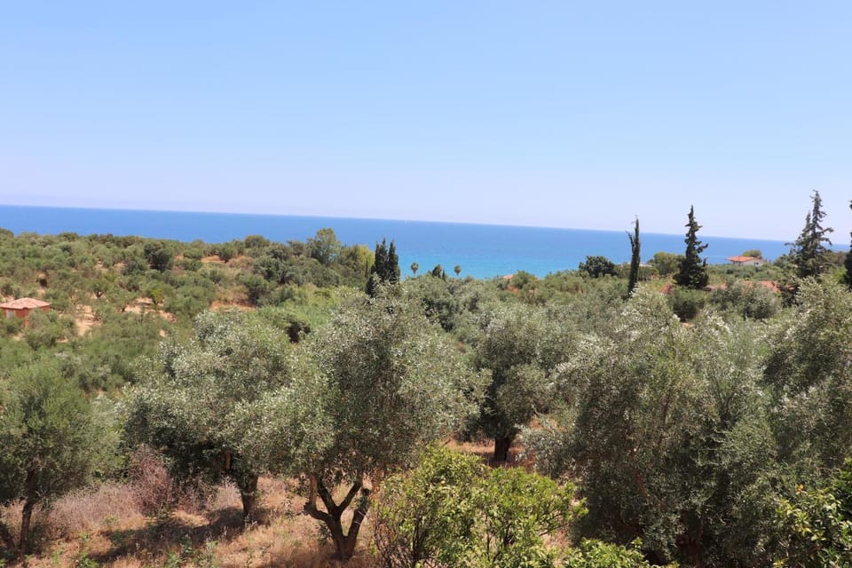Sea view