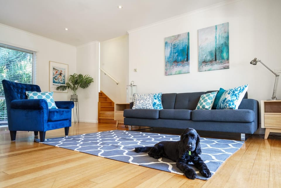 Living room, Pets