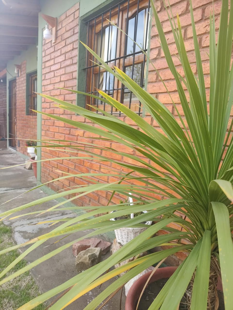 Property building, Day, Garden