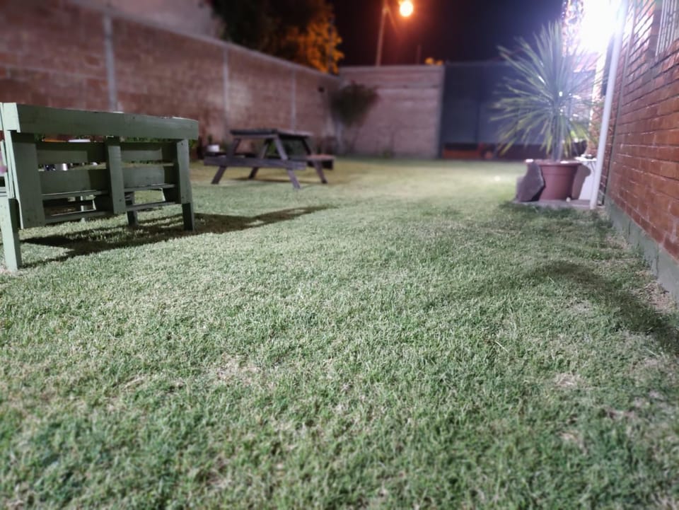 Patio, Night, Garden, Garden view
