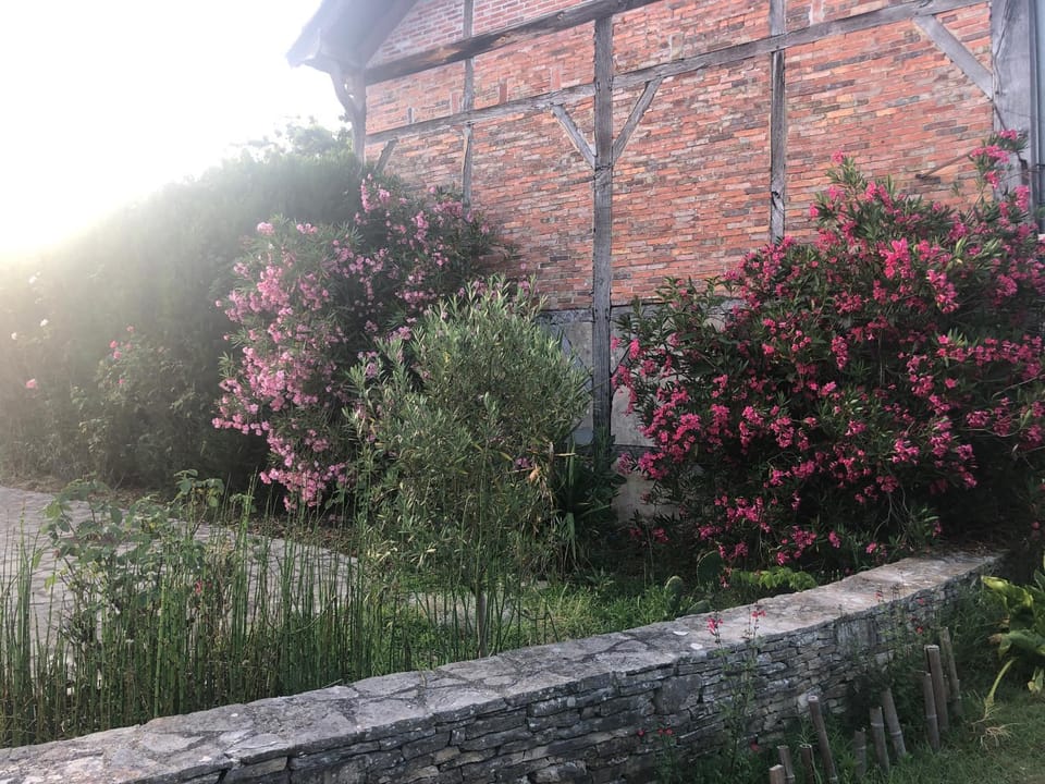 Bel appartement et jardin chez Maison Devaux Bed and Breakfast in Nouvelle-Aquitaine