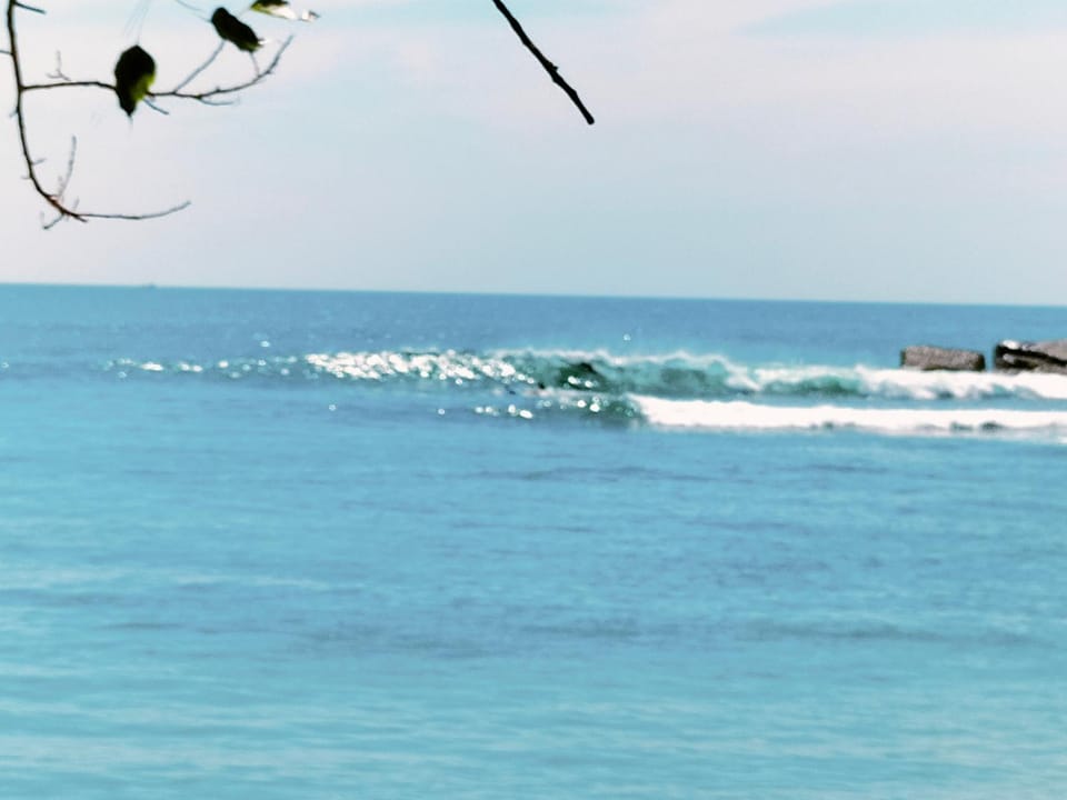 Activities