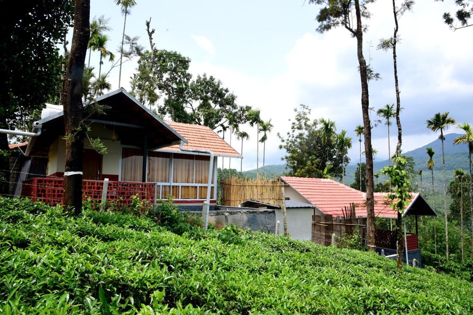 Mayflower Holiday Villa Villa in Kerala