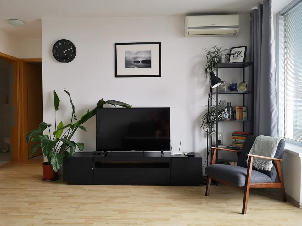 TV and multimedia, Living room