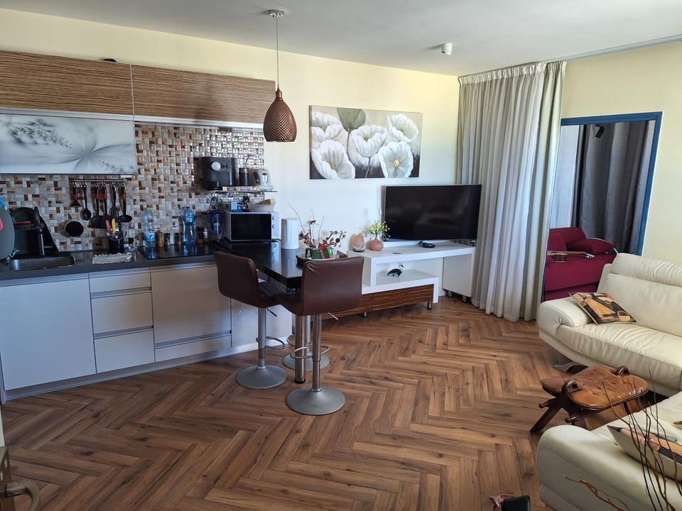TV and multimedia, Kitchen or kitchenette, Living room, Sea view, microwave, stove, air conditioner