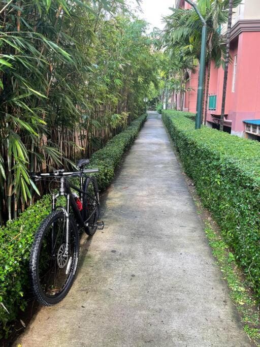 Natural landscape, Garden, Cycling, Garden view