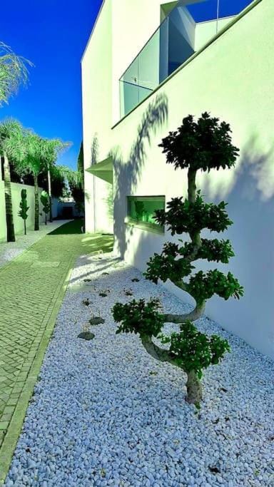 Ocean view Architectural Modern Villa Villa in Luz