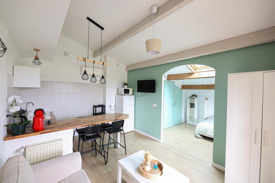 TV and multimedia, Kitchen or kitchenette, Living room, Seating area, Dining area, minibar