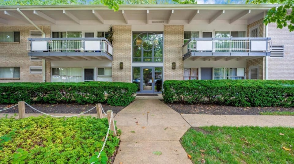 Entire one bedroom apartment Apartment in Annandale