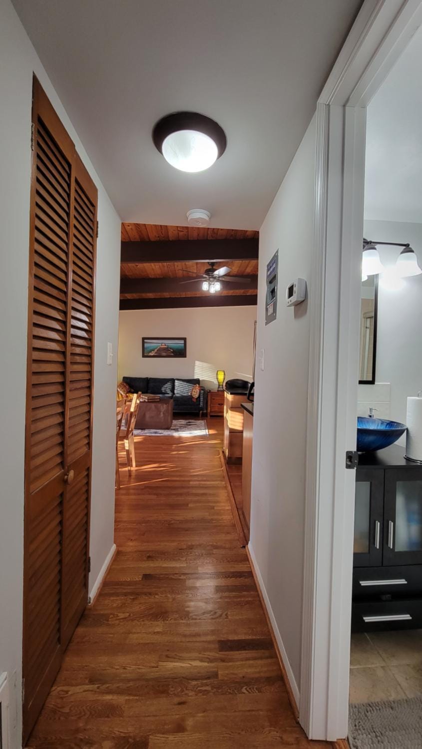 Entire one bedroom apartment Apartment in Annandale