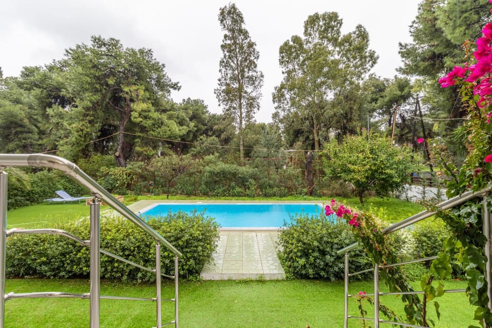 Natural landscape, Garden, Garden view, Swimming pool, Swimming pool, Sports