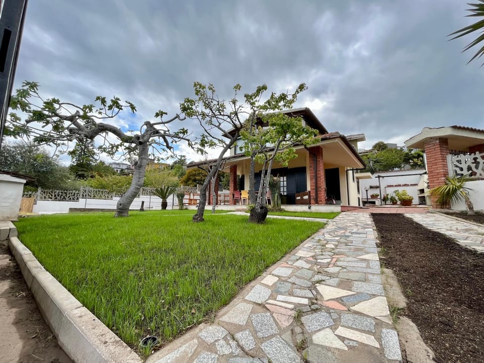 Property building, Garden, Garden view