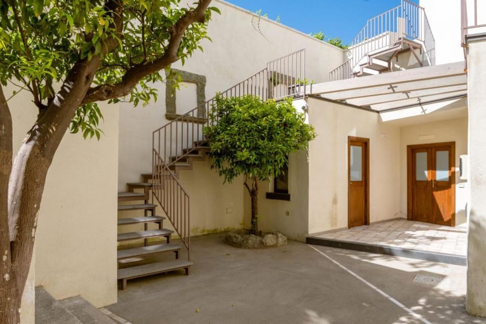 Property building, Day, Garden