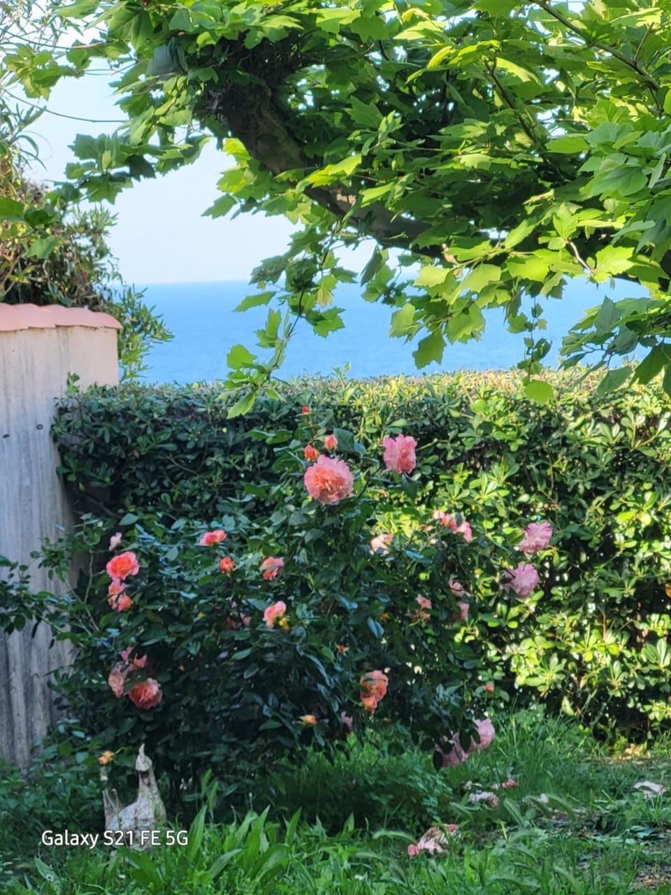 CHEZ ISABELLE Bed and Breakfast in Corsica