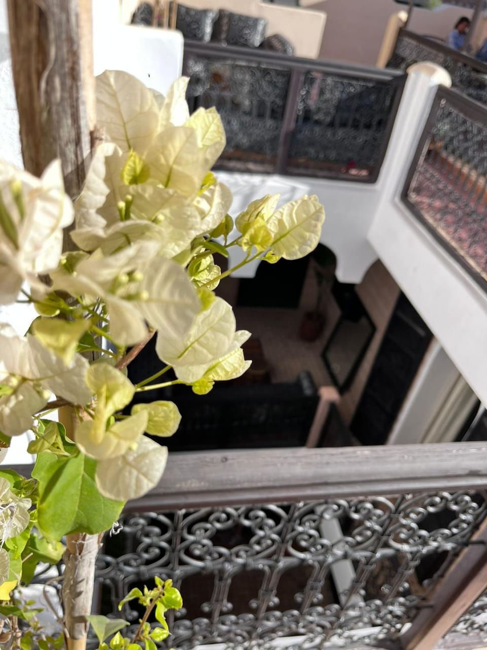 Riad Black Doors Riad in Marrakesh