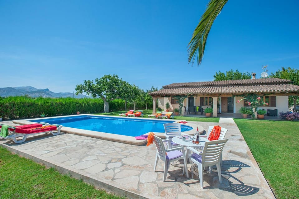 Patio, Garden, Garden view