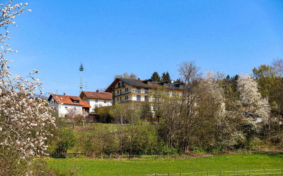 Property building, Spring, Day, Natural landscape, Garden view