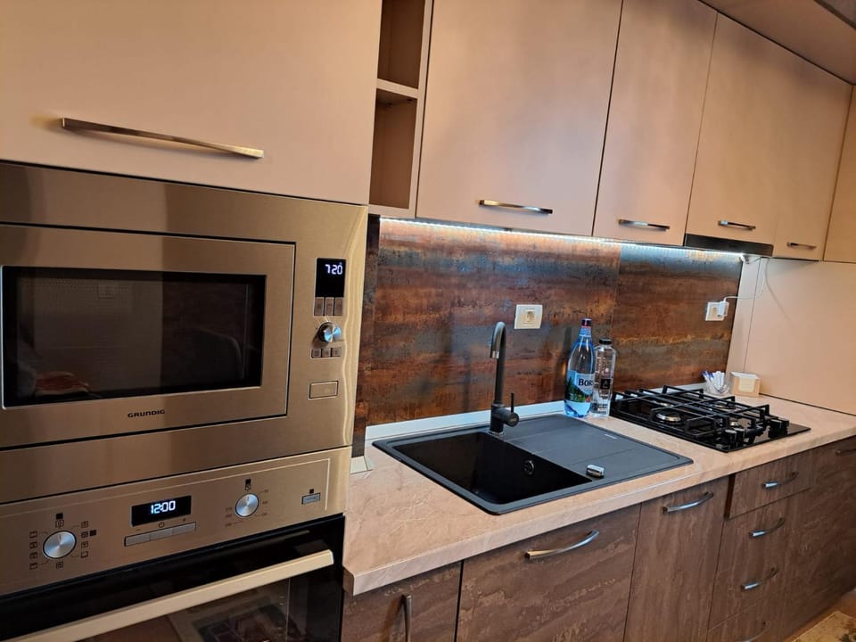 Monica City Apartament Apartment in Timisoara