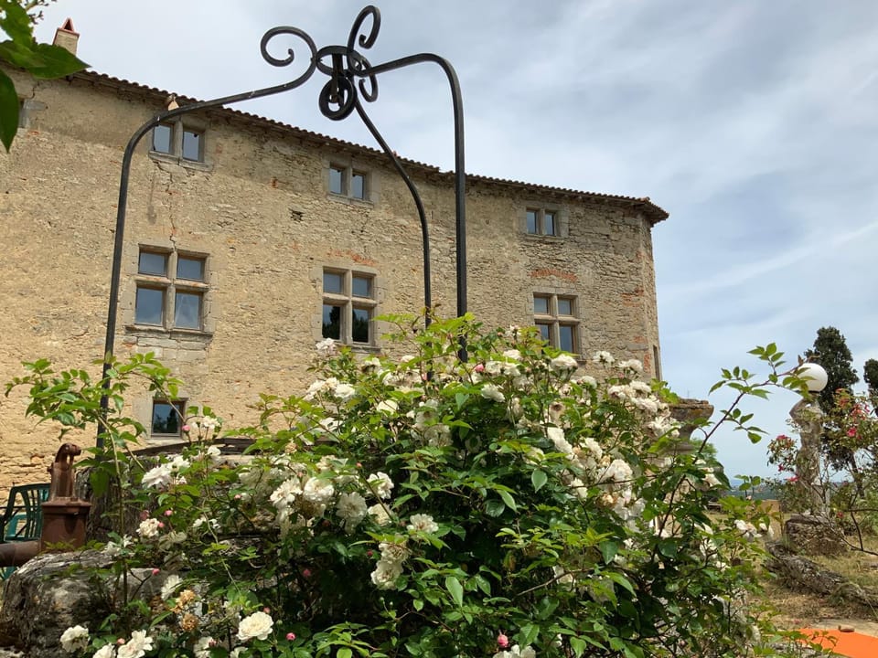 Spring, Garden, Garden view