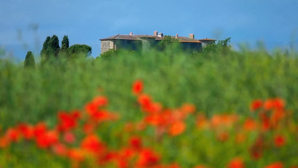 Property building, View (from property/room), Garden view