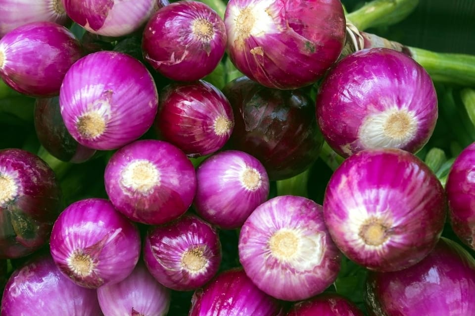 Food close-up