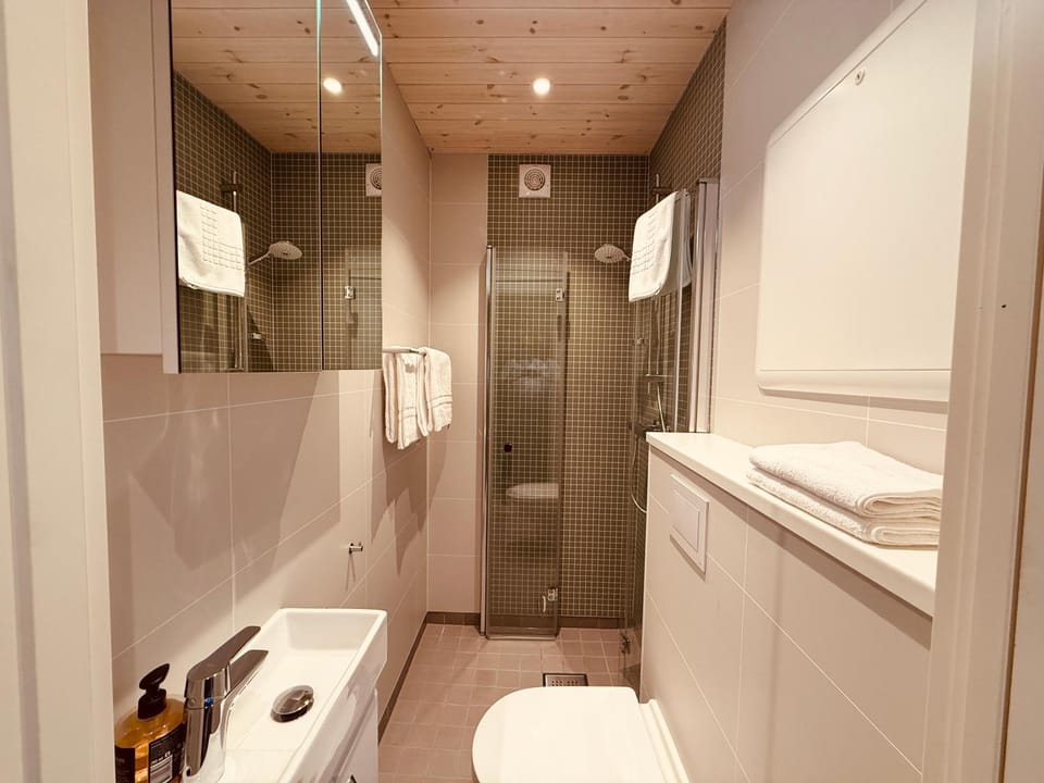 Shower, Bathroom