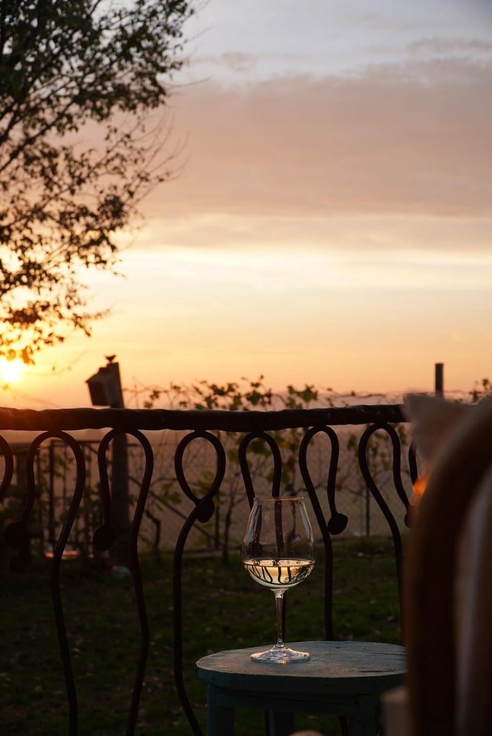 La Butte de Viaris Bed and Breakfast in Piedmont