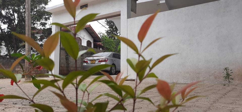 Property building, Garden, Garden view, Parking