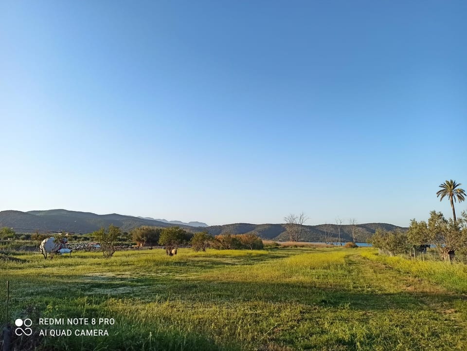 Spring, Day, Natural landscape