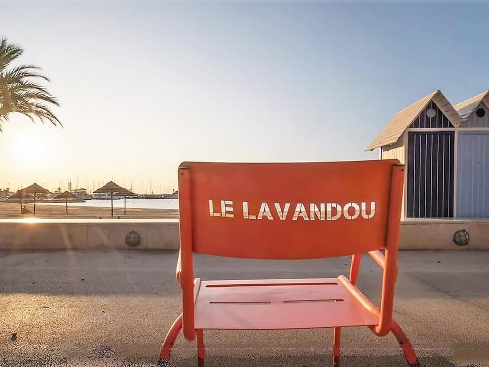 Charmant T2 climatisé avec grande terrasse, piscine et parking privatif, proche plage et commerces. - FR-1-251-441 Apartment in Le Lavandou
