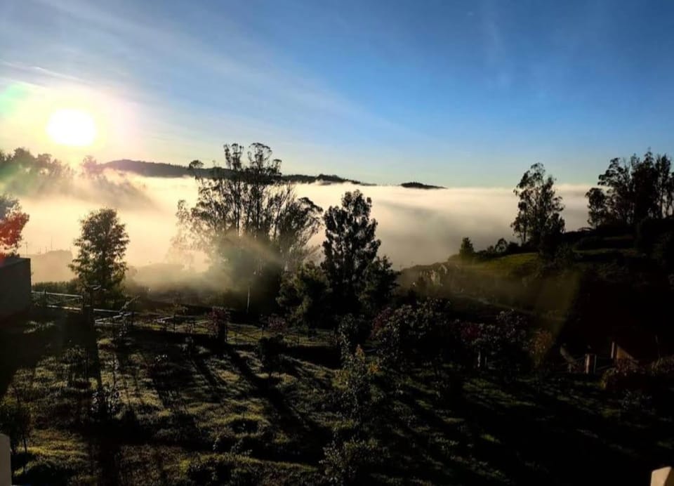 Mountain view