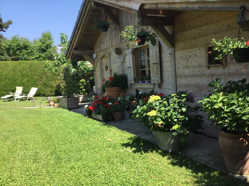 Property building, Garden view