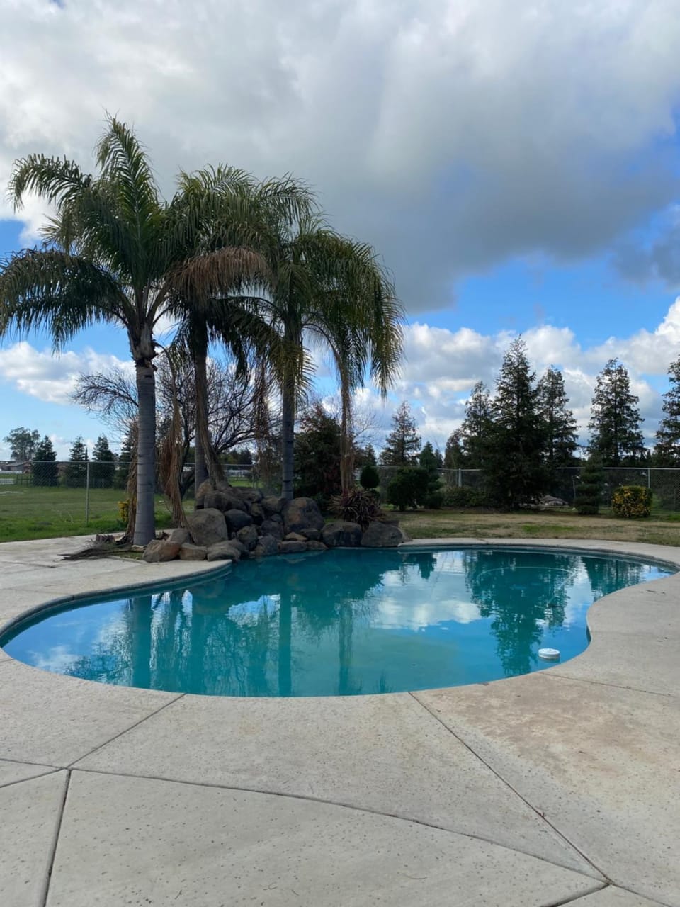 Garden, Swimming pool