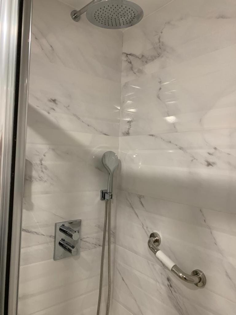 Shower, Facility for disabled guests