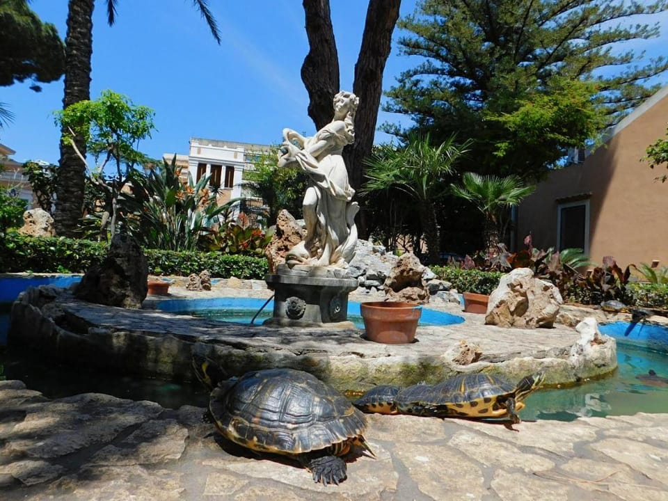 Nearby landmark, Spring, Pool view