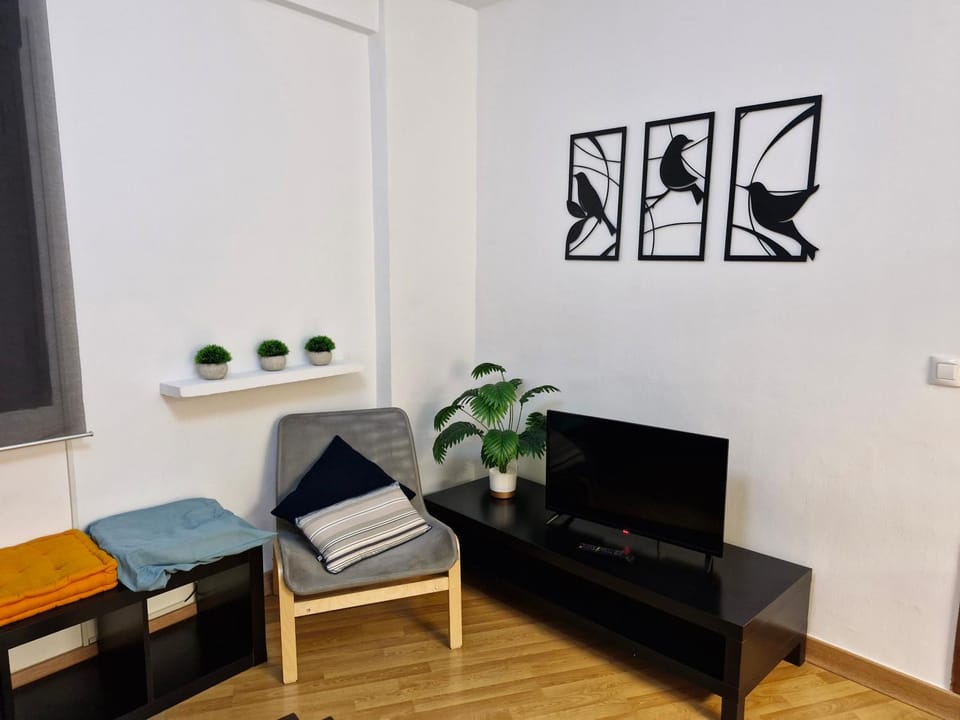 Apartamento Centro de Toledo Apartment in Toledo