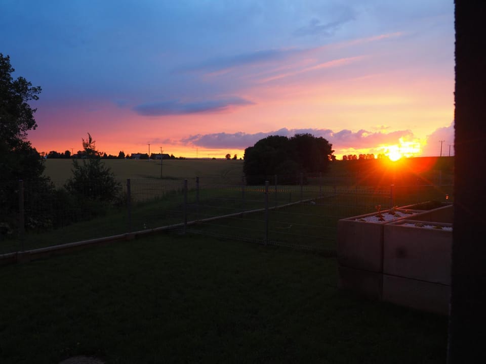 Garden, Garden view, Sunset
