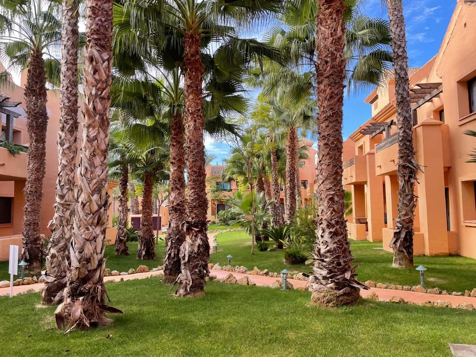 Garden, Garden, Garden view