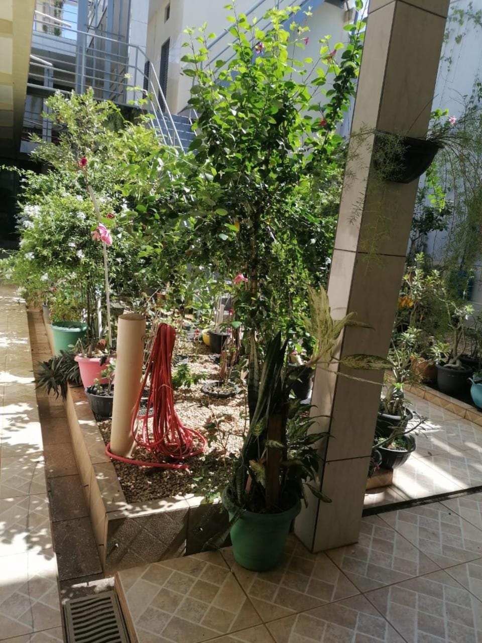 Garden view