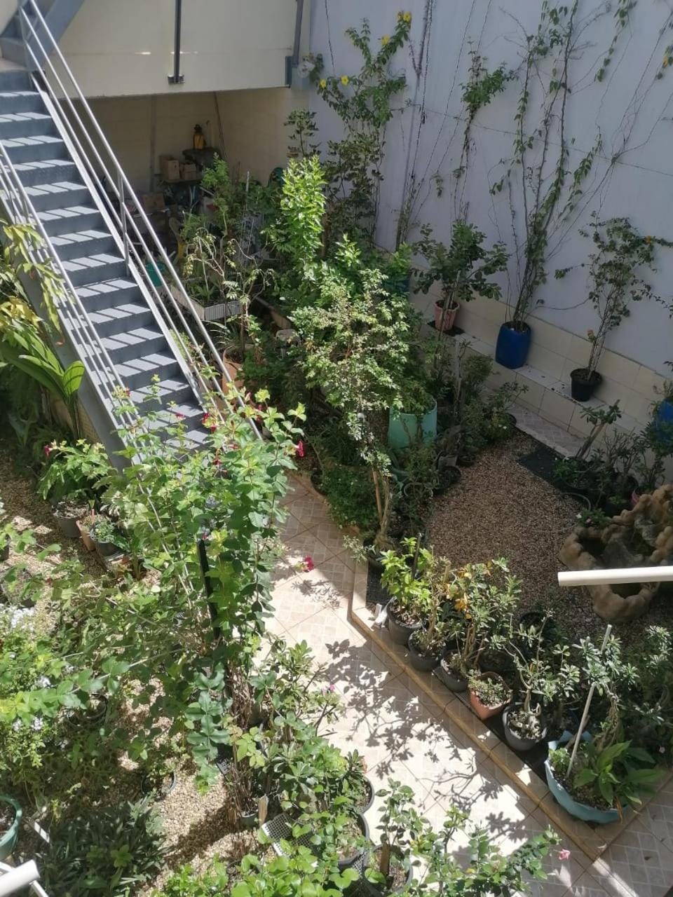 Garden view