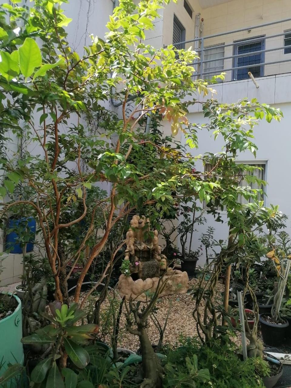Garden, Garden view