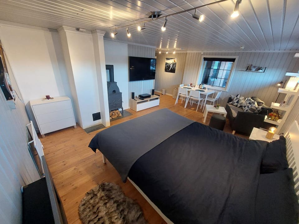Bed, TV and multimedia, Living room, Photo of the whole room, Seating area, Dining area, Bedroom